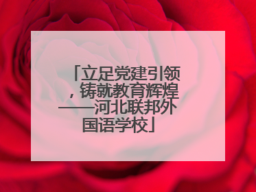 立足党建引领，铸就教育辉煌——河北联邦外国语学校